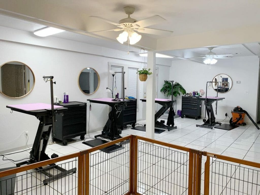 Dog Grooming Salon Ideas 7 Themes For Your Business PawCited